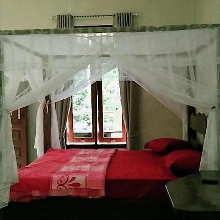 Raja Guest House - Jungle Trekking & Tours Bukit Lawang Sumatra Εξωτερικό φωτογραφία